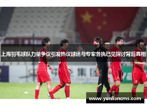 上海羽毛球队力量争议引发热议球迷与专家各执己见探讨背后真相
