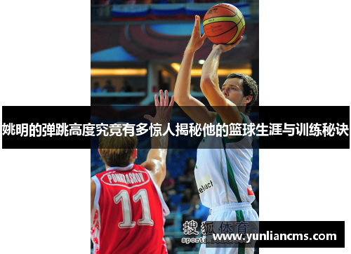 姚明的弹跳高度究竟有多惊人揭秘他的篮球生涯与训练秘诀